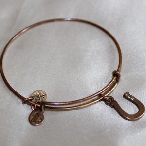 Alex and Ani Gold Bangle Bracelet -Horseshoe Charm